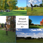 Pheasant Run Golf Course