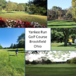 yankee run golf course brookfield ohio