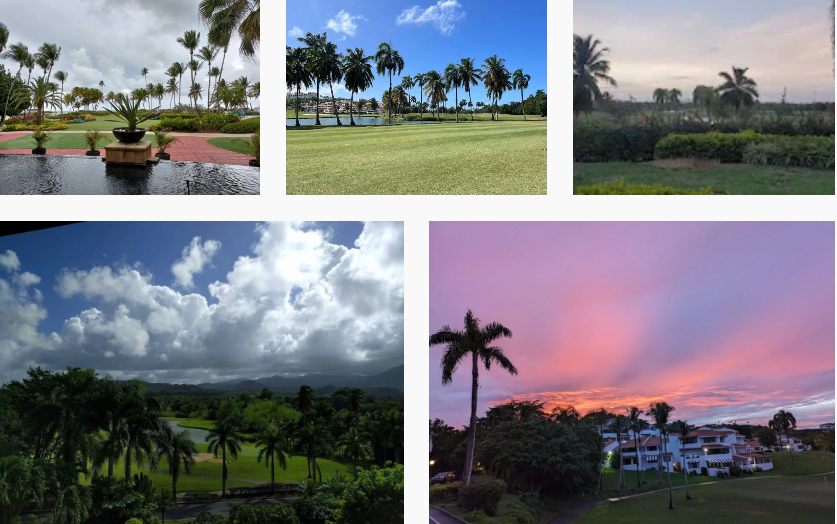 Wyndham Rio Mar Golf Course In Río Grande - Reviews, Rates, Pros And Cons 2 main 4